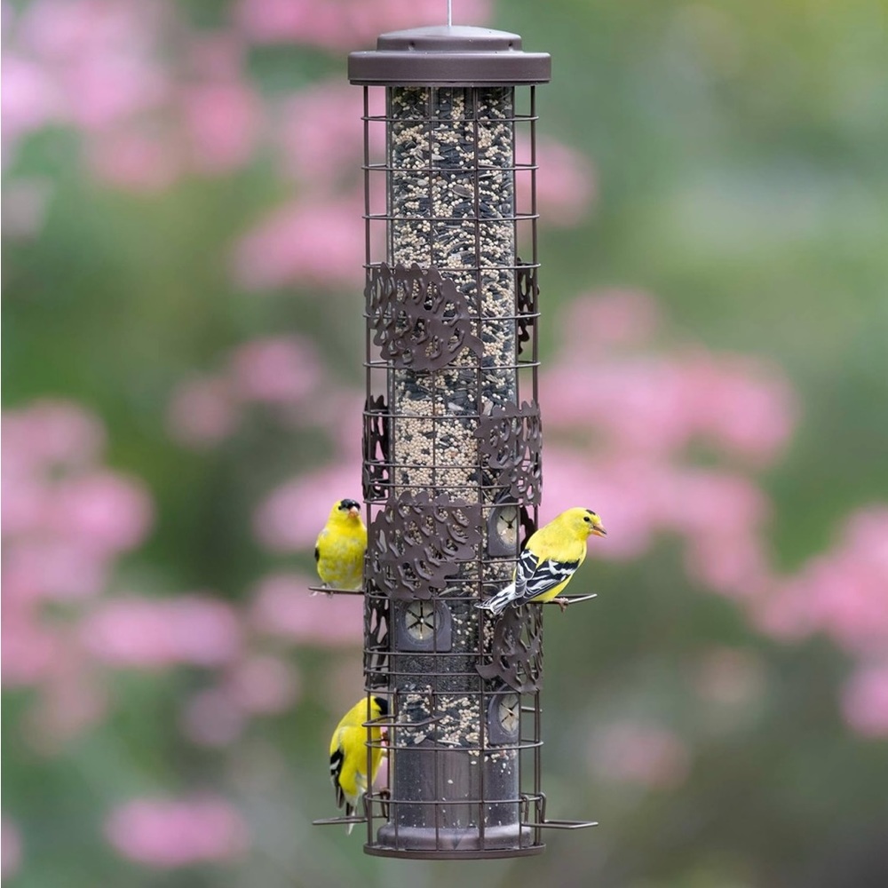 Perky-pet bird feeder